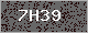 Image Verification is missing, please contact the administrator