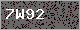 Image Verification is missing, please contact the administrator