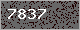 Image Verification is missing, please contact the administrator