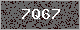Image Verification is missing, please contact the administrator
