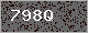 Image Verification is missing, please contact the administrator