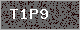 Image Verification is missing, please contact the administrator